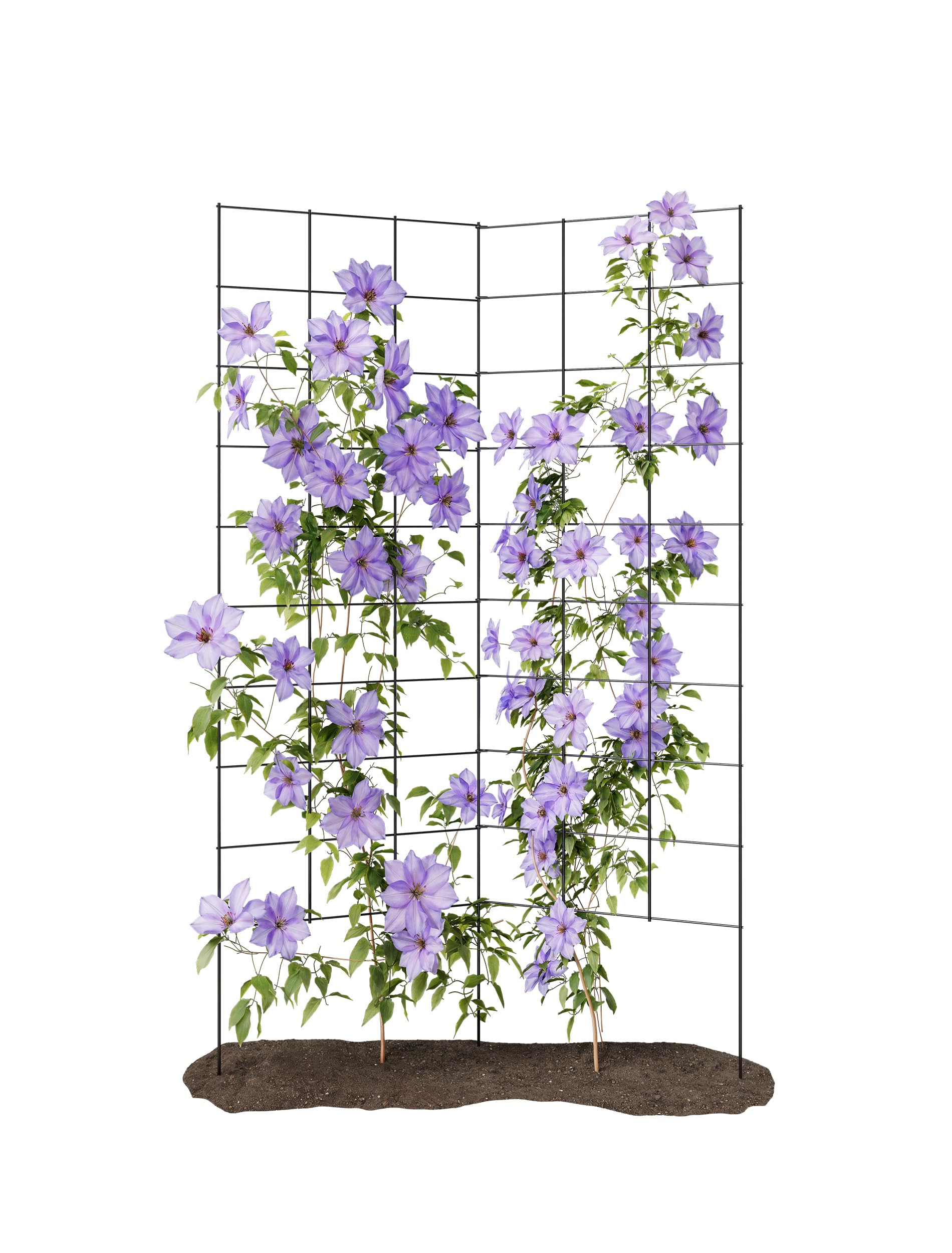 2-Panel Folding Garden Trellis - Maximize Your Garden Space, Durable Powder Coated Steel Frame, Easy-to-Use Design, Perfect for Climbing Vines, Vegetables, Beans, Tomato, Cucumber, 35x58"