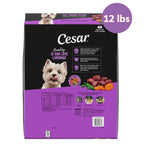 Cesar Small Breed Dry Dog Food, Filet Mignon & Spring Vegetables, 12 lb