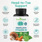 Vitamin B2 Riboflavin 400mg - Energy, Skin & Cellular Health Supplement - Nervous System Support - Vitamin B 2 Vit B - Non-GMO & Gluten Free - B2 Vitamin 400mg Vegetable Capsules, 90 Count 2-Pack