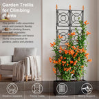 Trellis for Climbing Plants Outdoor, 24 Rifny Tall Garden Trellis Flower Rose Cucumber Trellis for Vines Pea Support, Wall Large Plant Trellis Fence with Plastic Screen Frame, 2 x 6.2 FT