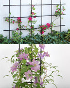 2-Pack Garden Trellis for Climbing Plants Outdoor Indoor, 47-Inch Adjustable Metal Trellis for Potted Plants, Tall Plant Support for Jasmine, Clematis and Other Climbing Flowers