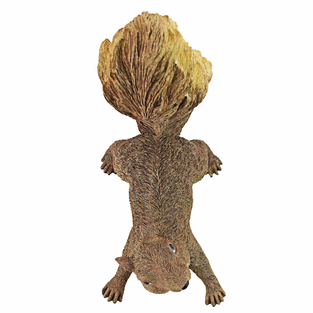 Design Toscano Simone, The Squirrel Hanging Sculpture