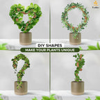 EcoNour Tall Moss Pole for Plants (2-Pack) 63-Inch | Large Monstera Plant Support for Climbing and Growth | Elevate Your Indoor Garden | Tall Plant Support for Indoor Potted Plants to Grow Upwards