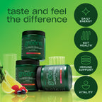 AdvoCare Daily Greens - Greens Powder for Digestion - All-in-one Formula Supports Gut Microbiome, Daily Energy & Immune Support - Antioxidant-Rich Ingredients - Berry Lemonade - 8 oz (20 Servings)