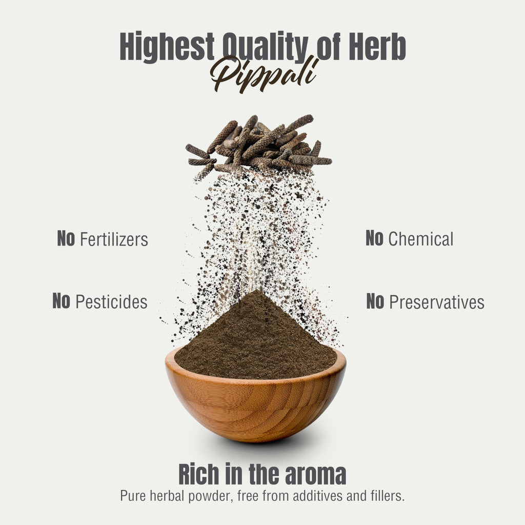 HerbsForever Pippali (Piper longum) Fruit, Powder |Cold Relief, Digestion & Gut Health Spices for Meat Seasoning| Wild Harvested-Non GMO, Vegan- 2X Potency,Ultra Clean,Steam Treated |230 GMS- ½LBS