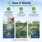MICROBE-LIFT BMC Biological Mosquito Control, Liquid Treatment for Medium-Sized Decorative Water Gardens Up to 2,000 Gallons, Fountains and Ponds, 2 Fluid Ounces
