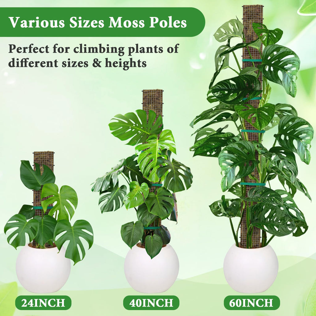 MUDEREK 6 Pack D Shape Sphagnum Moss Pole-24+40"+60"