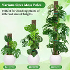 MUDEREK 6 Pack D Shape Sphagnum Moss Pole-24+40"+60"