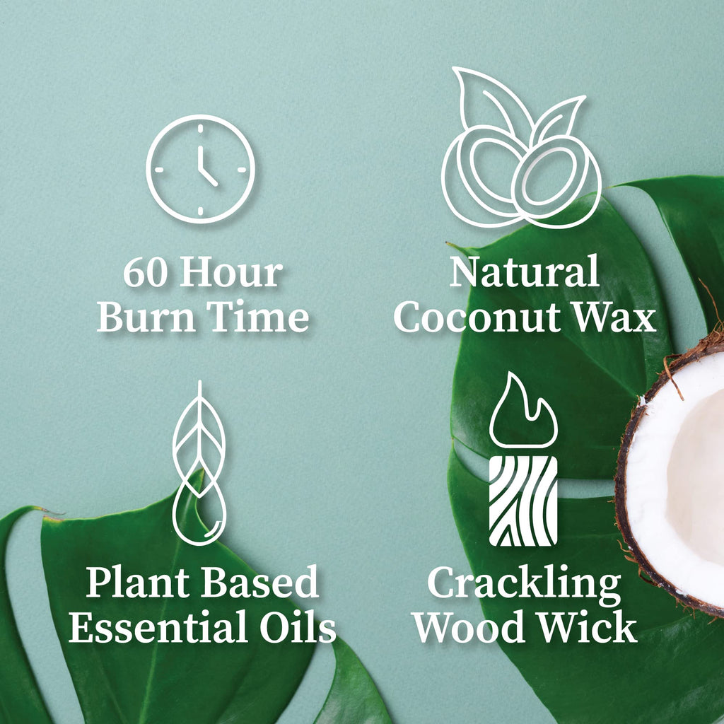 Hemlock Park Palo Santo Apothecary Hand-Poured Scented Candle | Crackling Wood Wick, Botanical Fragrance & Coconut Wax | Up to 60 Hour Burn Time | 8 oz