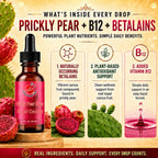 Natural Home Cures Prickly Pear Drops with Vitamin B12, Nopal Cactus Fruit Concentrate, Liquid Supplement with Betalains & Plant Nutrients, 2 Bottles, 120 Total Servings, 2 Fl Oz Each (2)