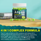 2 Pack Algae Omega 3 Gummies 1000mg, Plant Based DHA 460mg & EPA 230mg, Omega 3 Fish Oil Alternative for Adults, Plus MethylFolate, Vitamin B12, Phosphatidylserine, No Fishy Taste, Vegan, Sugar Free