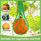 Covzoe 16 Pieces Watermelon Net with 100 Cable Zip Ties