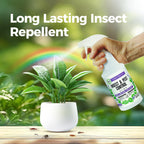 VermExon Peppermint Oil Insect & Pest Control Spray – 16oz Natural Plant-Based Bug Killer for Spiders, Ants, Flies, and Other Insects, Safe for Home & Kitchen Use