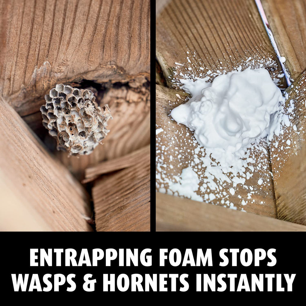 Ortho Home Defense Hornet & Wasp Killer7 16 oz., 3-Pack
