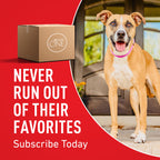 Purina ONE Plus Skin & Coat, Sensitive Stomach Dry Dog Food, 31.1 lb Bag