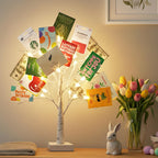 EAMBRITE Money Tree Gift Holder, Lighted Birch Tree 2FT 24LED, Battery/USB Powered Timer Light Up Display Twig Gift Card Tree with 12 Clear Clips and 6 Cards for Home Christmas Graduation Photo Memo
