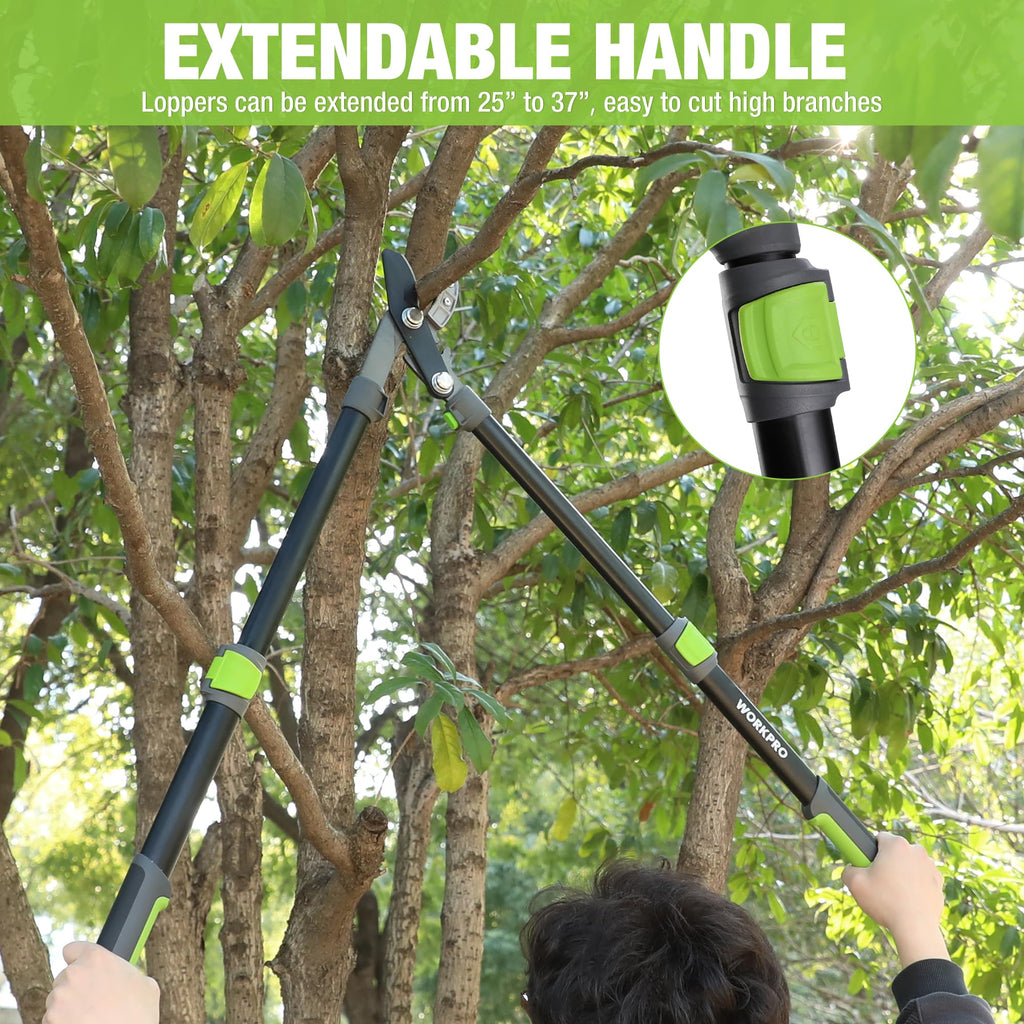 WORKPRO Extendable Anvil Lopper, 25"-37" Branch Cutter with Gear Mechanism