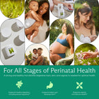 Needed. Expertly-Formulated & Tested Prebiotic & Probiotic for Prenatal, Pregnancy, Breastfeeding, & Postpartum | Balance Mood, Boost Immunity, Healthy Microbiome for Mother & Baby | 60 Capsules