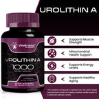 Liposomal Urolithin A Supplement Capsules 1,000mg - Urolithin A+ Supplement for Cellular Renewal & Mitochondrial Support, Ultra-Strength Muscle Health - Third-Party Tested 120 Capsules - Made in USA