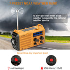 Emergency Radio with NOAA Weather Alert, Portable Solar Powered Hand Crank AM/FM Radio for Survival, Rechargeable Battery Powered Radio, USB Charger, Flashlight, Lee, for Home Outdoor