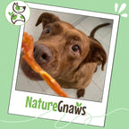 Nature Gnaws USA Turkey Tendons Dog Treats, 4 oz