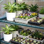 KOL 27x19x76 in PVC Cover 5-Tier Mini Greenhouse, Indoor Outdoor