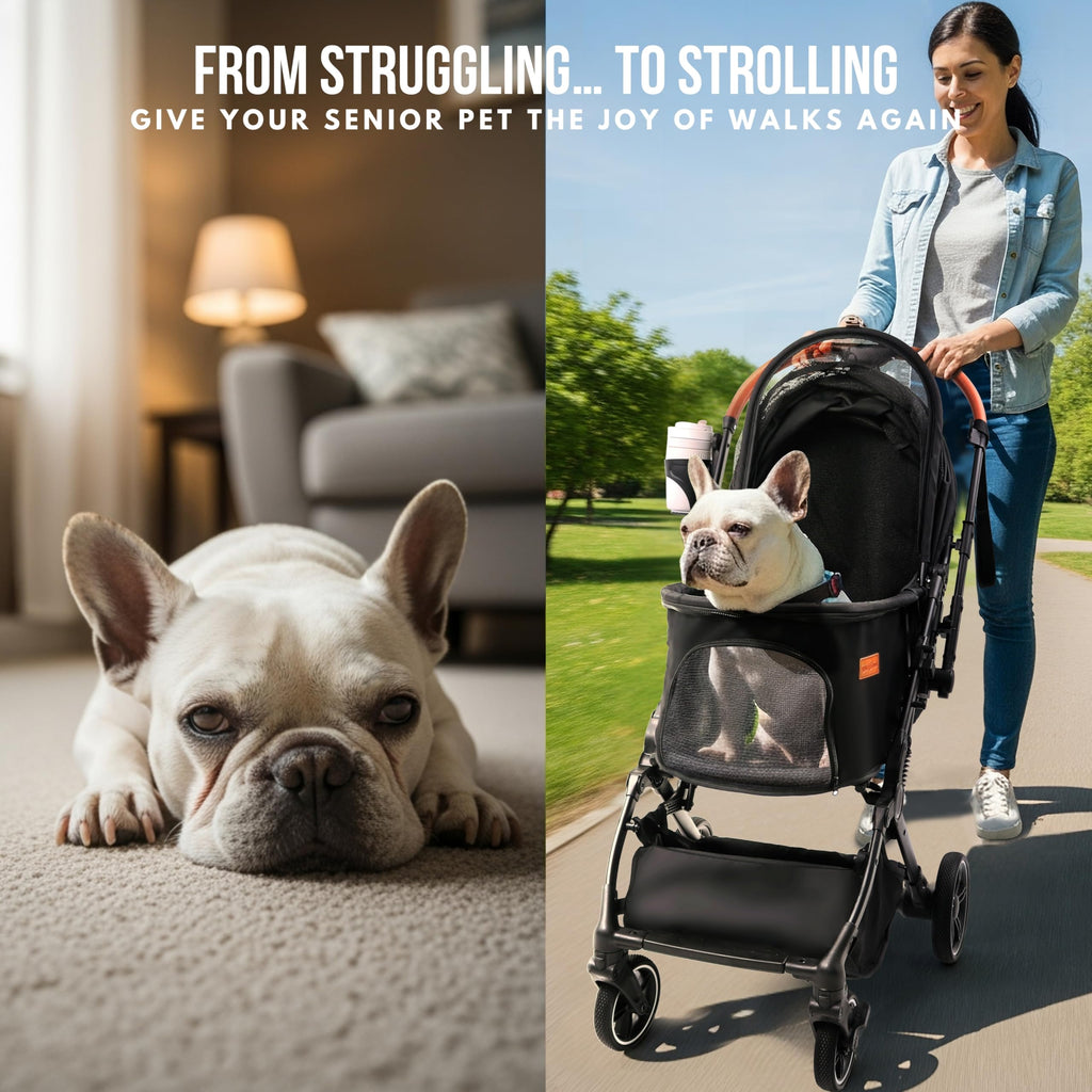 Bicystar Pet Stroller for Small Medium Dogs Cats Up to 45 lbs, Travel Lite Collapsible, All Terrain 4 Wheels for Jogging, Running, Black