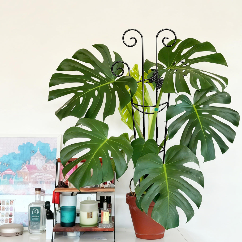 Coomin 32.6in Monstera Plant Support Trellis with One Butterfly, 2P