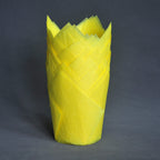 QLSmypkg Large Greaseproof paper Wrappers Muffin Baking cupcake cups liners, 2-1/4" x 4" Natural,Red,Yellow 3 colours in a box Tulip Baking Cups Holders 125 pcs (Large) (125, Multi Red,Yellow,Natural)