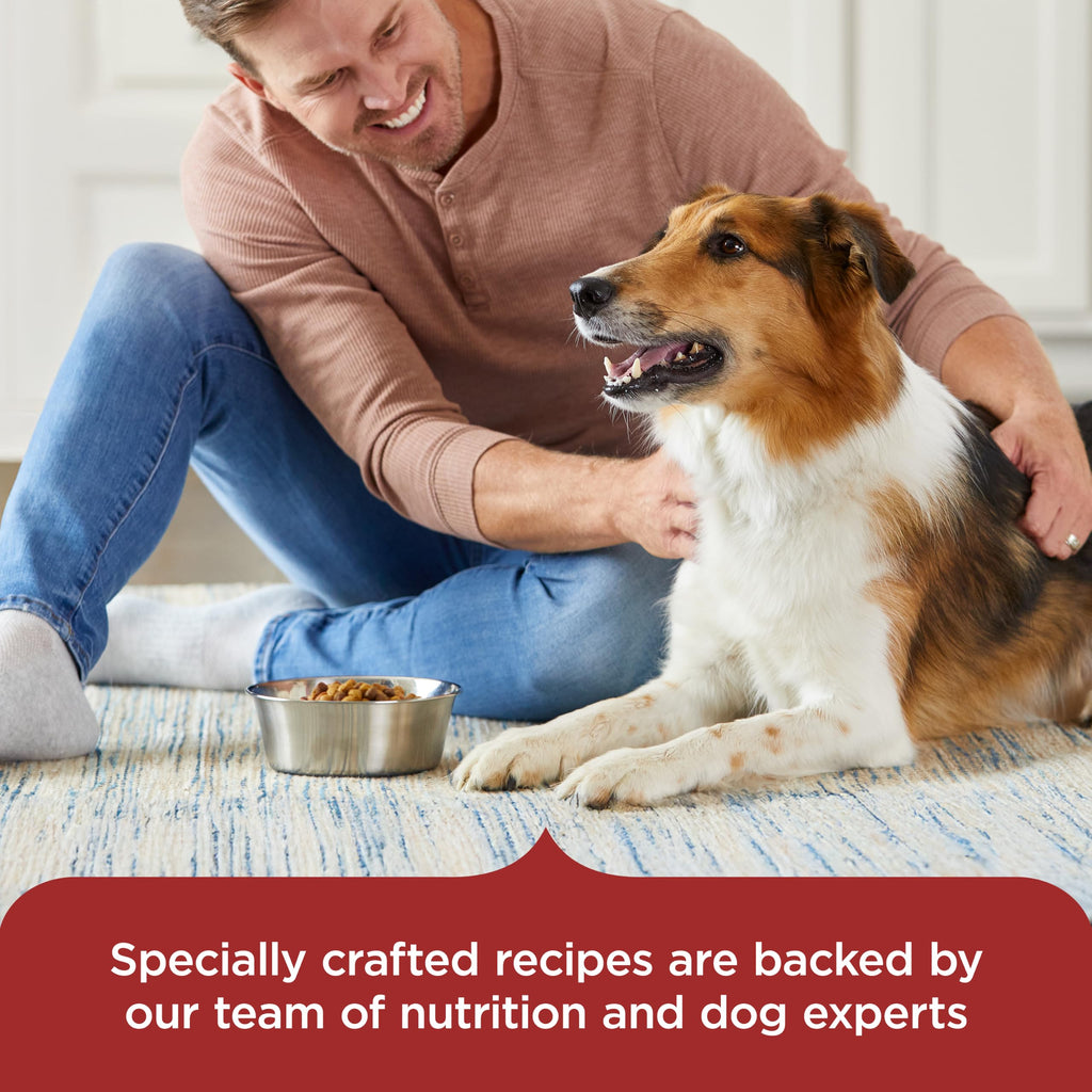 Nutrish Beef Paté Wet Dog Food, 13 oz. Can, 12 Pack (Rachael Ray)