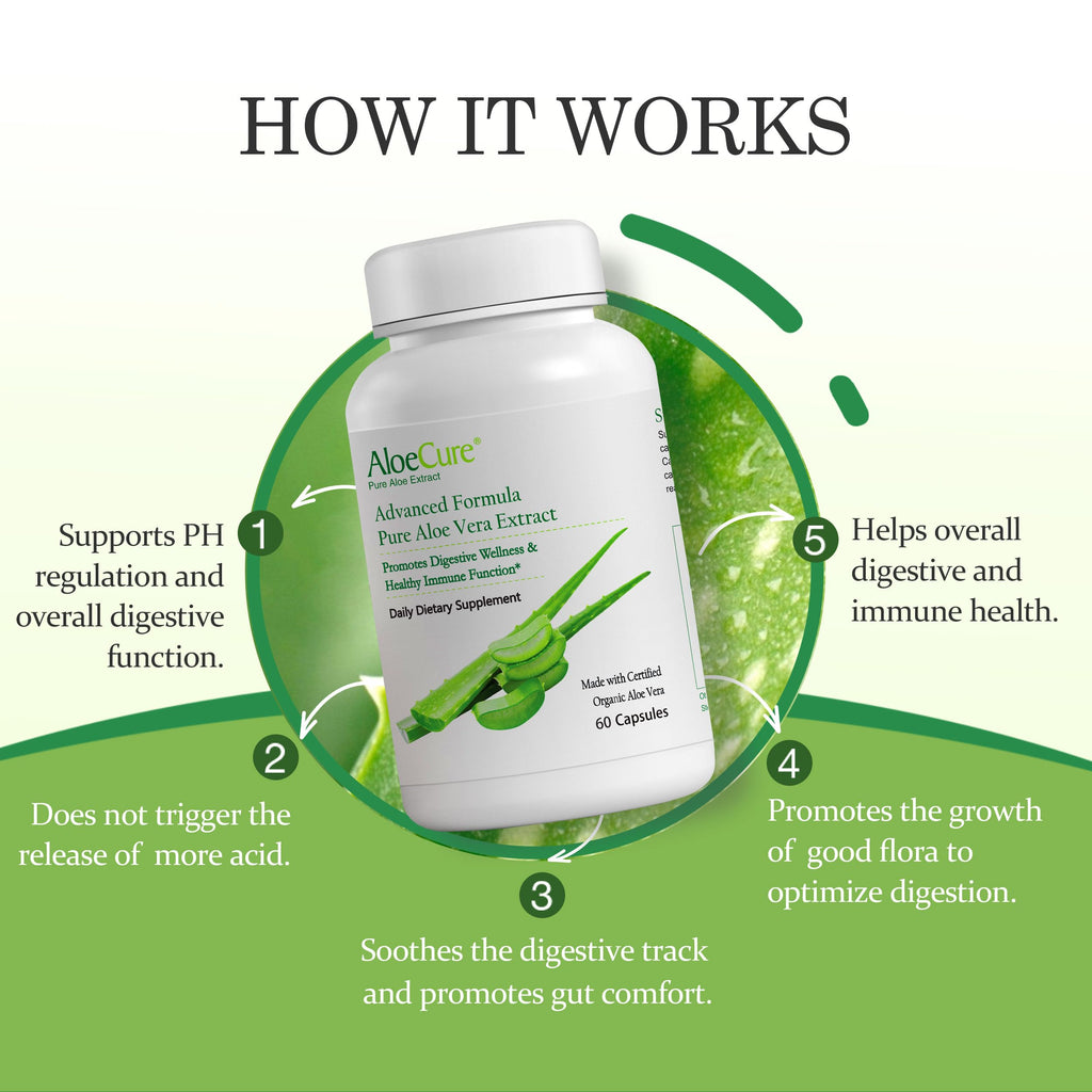 AloeCure Organic Aloe Vera Capsules, 160,000mg Inner Aloe Leaf Equivalent per Serving, Support Gut, Digestive, & Immune Health, Helps Maintain Balanced Stomach Acidity, Aloin Free, 60 Capsules