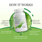 AloeCure Organic Aloe Vera Capsules, 160,000mg Inner Aloe Leaf Equivalent per Serving, Support Gut, Digestive, & Immune Health, Helps Maintain Balanced Stomach Acidity, Aloin Free, 60 Capsules