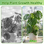 Monstera Plant Support - 32.6 Inch Tall Trellis with 2 Pack Plant Stakes for Your Large Climbing Monstera Deliciosa | Indoor Plant Climbing Frame for Potted Growth