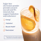 Trace Minerals ZEROLyte Salty Orange Sugar Free Electrolyte Powder Packets 30-Pack — Zero Sugar Hydration Drink Mix — Ancient Sea Salt — Replenishes Electrolytes Lost Through Exercise