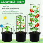 GENMOUS Tomato Cages with Grow Bags - 48 Inch Tomato Trellis for Raised Garden Bed, 3-Pack Tomato Plant Support, with 10 Gallon Plant Grow Bags, Reusable and Height Adjustable