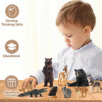 Toymany 12PCS Realistic North American Forest Animal Figurines Jungle Zoo