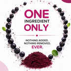 Natural Aronia Berry Powder - Black Chokeberry Superfood High in Anthocyanins & Polyphenols - Supports Immune System - Raw Chokeberries Superfood - Aronia Berries - Vegan, Gluten-Free - 1lb