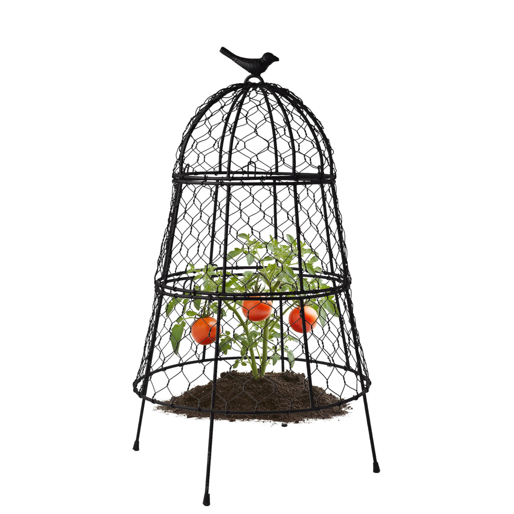 Garden Cloches for Plants, Large Plant Protectors from Animals, Pack 6
