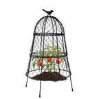 Garden Cloches for Plants, Large Plant Protectors from Animals, Pack 6
