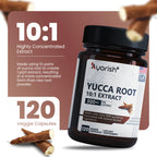 Ayorish Yucca Root Capsules 500mg 120 Count Yucca Root Extract 10:1 Herbal Supplement Plant Based Botanical Capsules Vegan Non GMO Herbal Extract Capsules