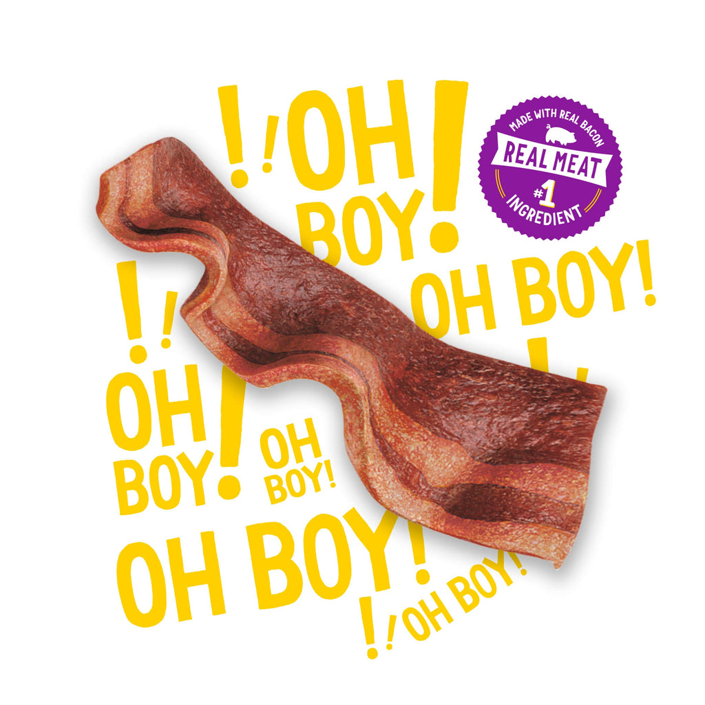 Purina Beggin' Strips Dog Treats, Original with Bacon, (2) 26 oz Pouches