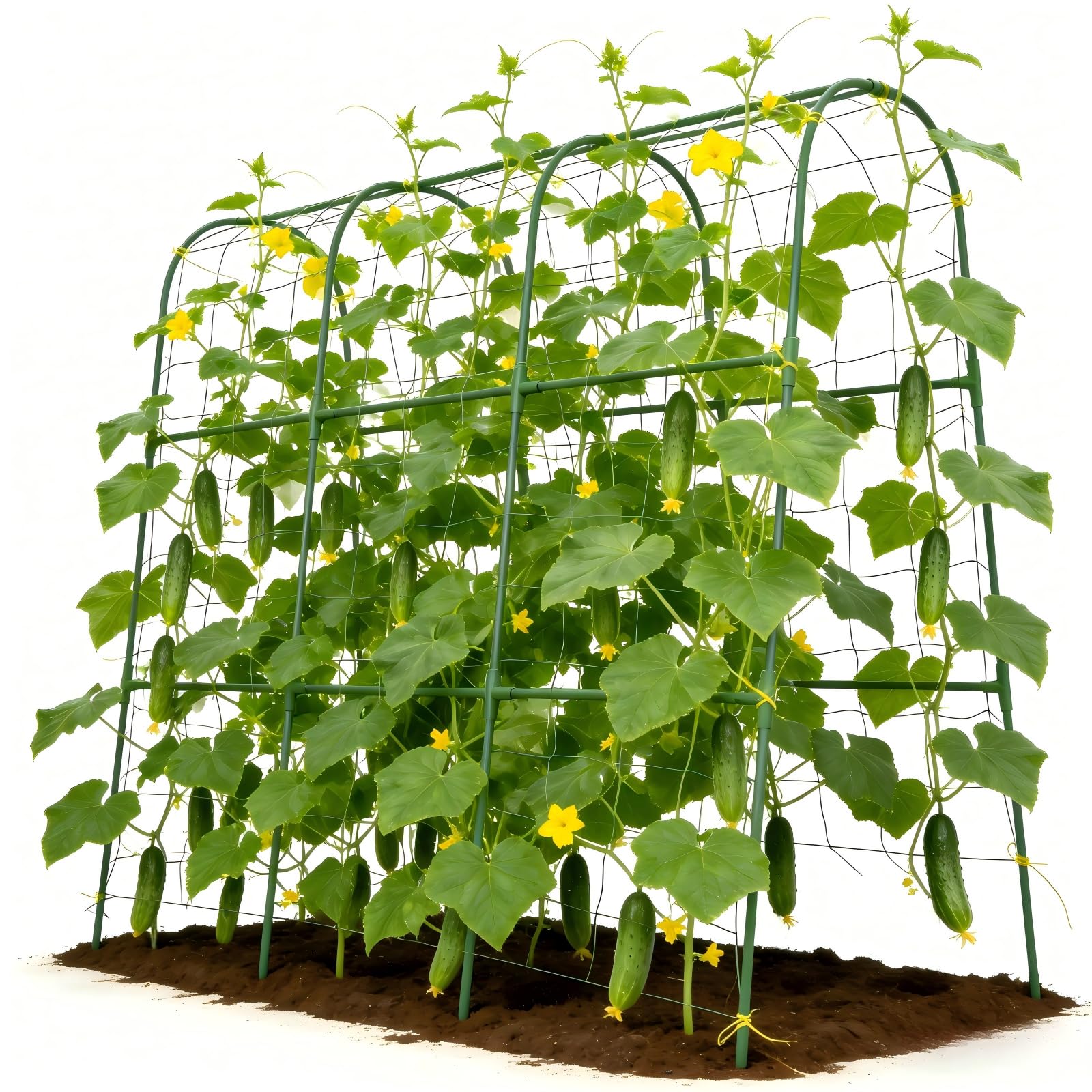 Tegarbed 48x46 in U-Shape Cucumber Trellis for Climbing Plants Outdoors