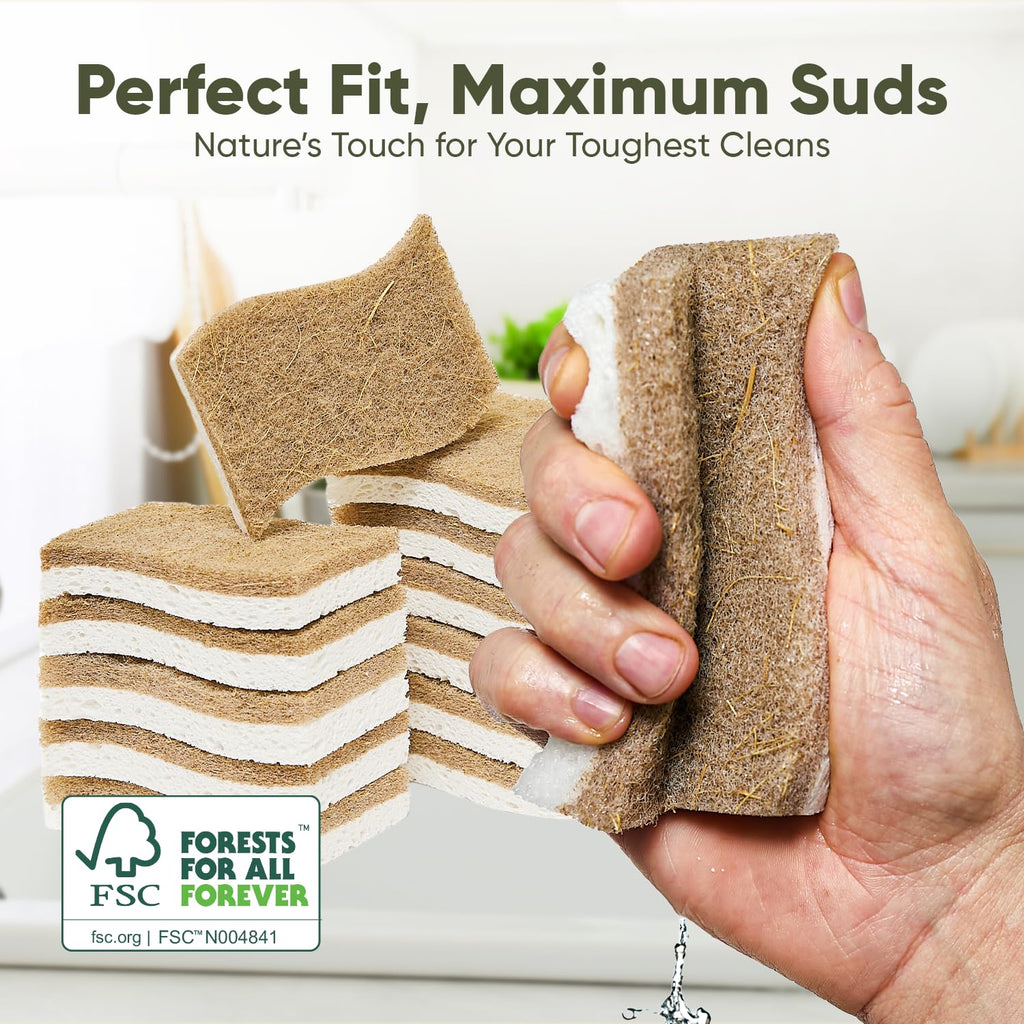 Plant-Based Kitchen Sponges (24 Pack) | FSC-Certified & PETA Approved | Natural Cellulose & Coconut Blend Scrubber Dish Sponges for Kitchen | S-Shaped Design | Eco-Friendly, Non-Scratch & Non-Toxic