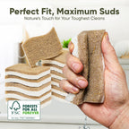 Plant-Based Kitchen Sponges (24 Pack) | FSC-Certified & PETA Approved | Natural Cellulose & Coconut Blend Scrubber Dish Sponges for Kitchen | S-Shaped Design | Eco-Friendly, Non-Scratch & Non-Toxic