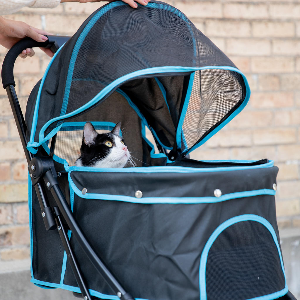 Carlson Pet Stroller, Includes 360 Degree Front Wheel Swivel, Rear Wheel Breaks, Reflective Trim, Mesh Panels, Umbrella and Mesh Canopy, Folds Easily to a Fraction of its Size,Black