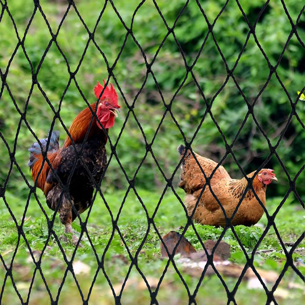 DQS Bird Netting 50' x 50', 2.4" Square Mesh Garden Netting, Poultry Net