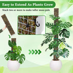 MUDEREK 6 Pack D Shape Sphagnum Moss Pole-24+40"+60"