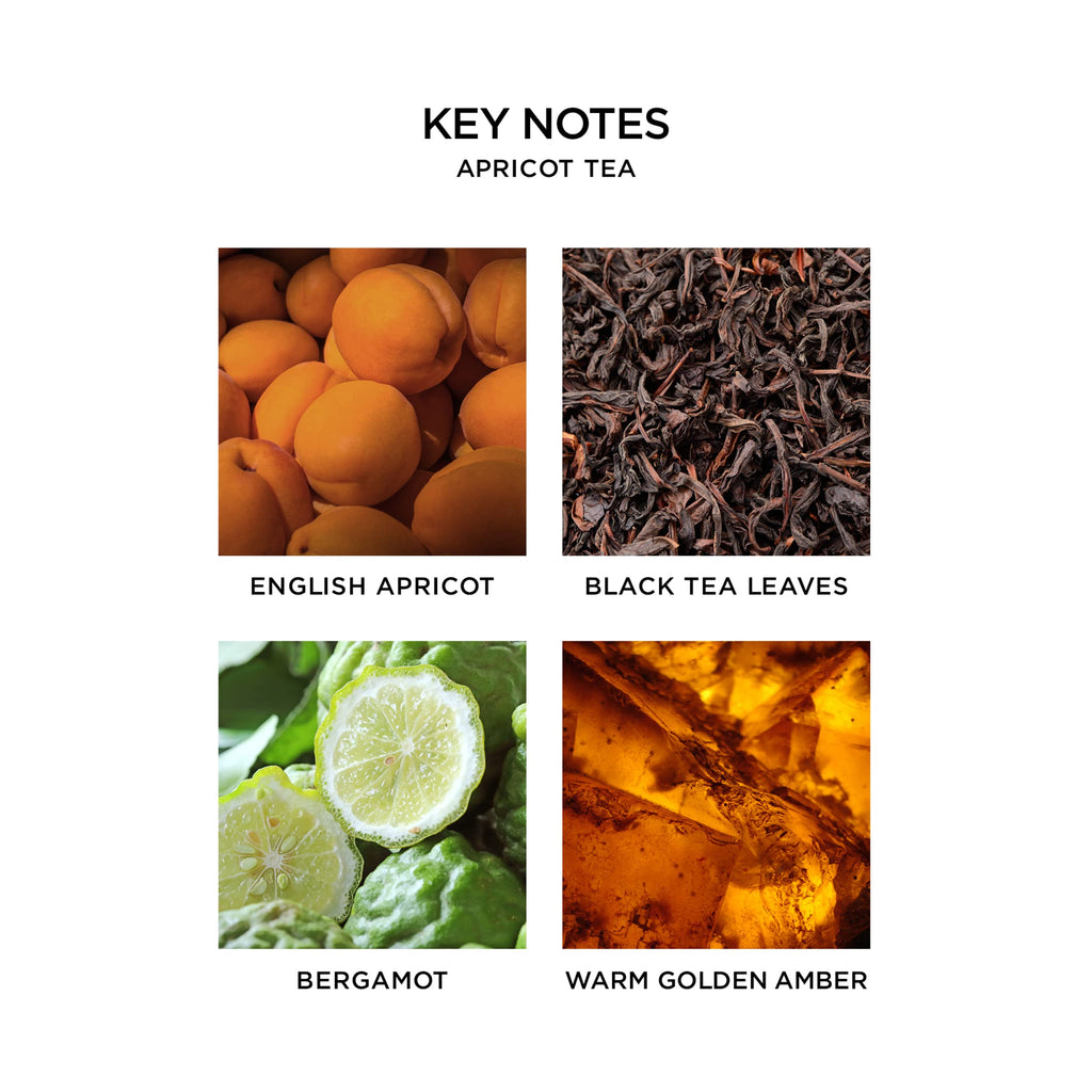 Nest Fragrances Scented Classic Candle, Apricot Tea