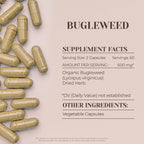 Garden Organics Bugleweed 120 Capsules | High-Potency Herbal Dietary Supplements | Made with Vegetable Capsules and Bugleweed (Ze LAN, Lycopus Virginicus) Dried Herb (120 Count)