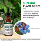 NutraMedix Barberry Immune Support & Antioxidants Supplement - Liquid Oregon Grape Root Extract for Gut Health, Immunity & Microbial Support - Herbal Tinctures for Immune Health (1oz / 30ml)